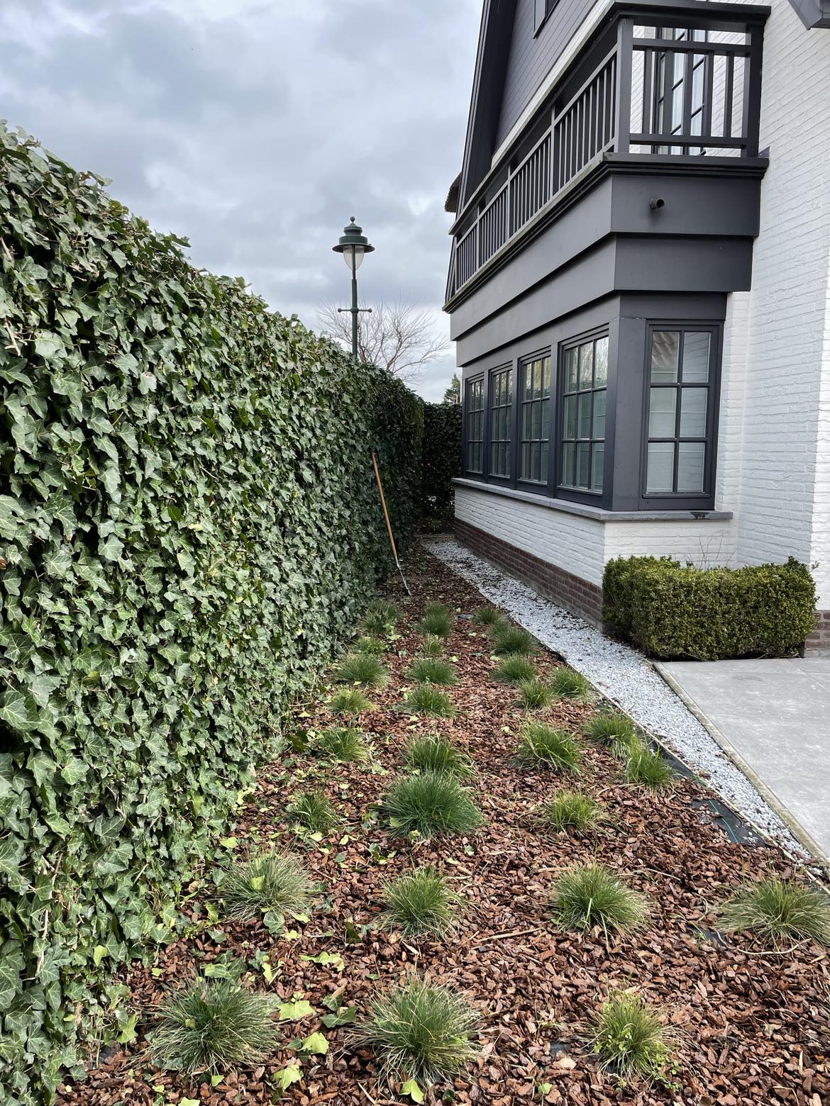 Kleine tuinwerken in Knokke-Heist – boomstronk verwijderen en aanplanting